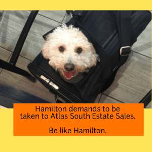 67314438_922564988080335_6933528240380182528_n