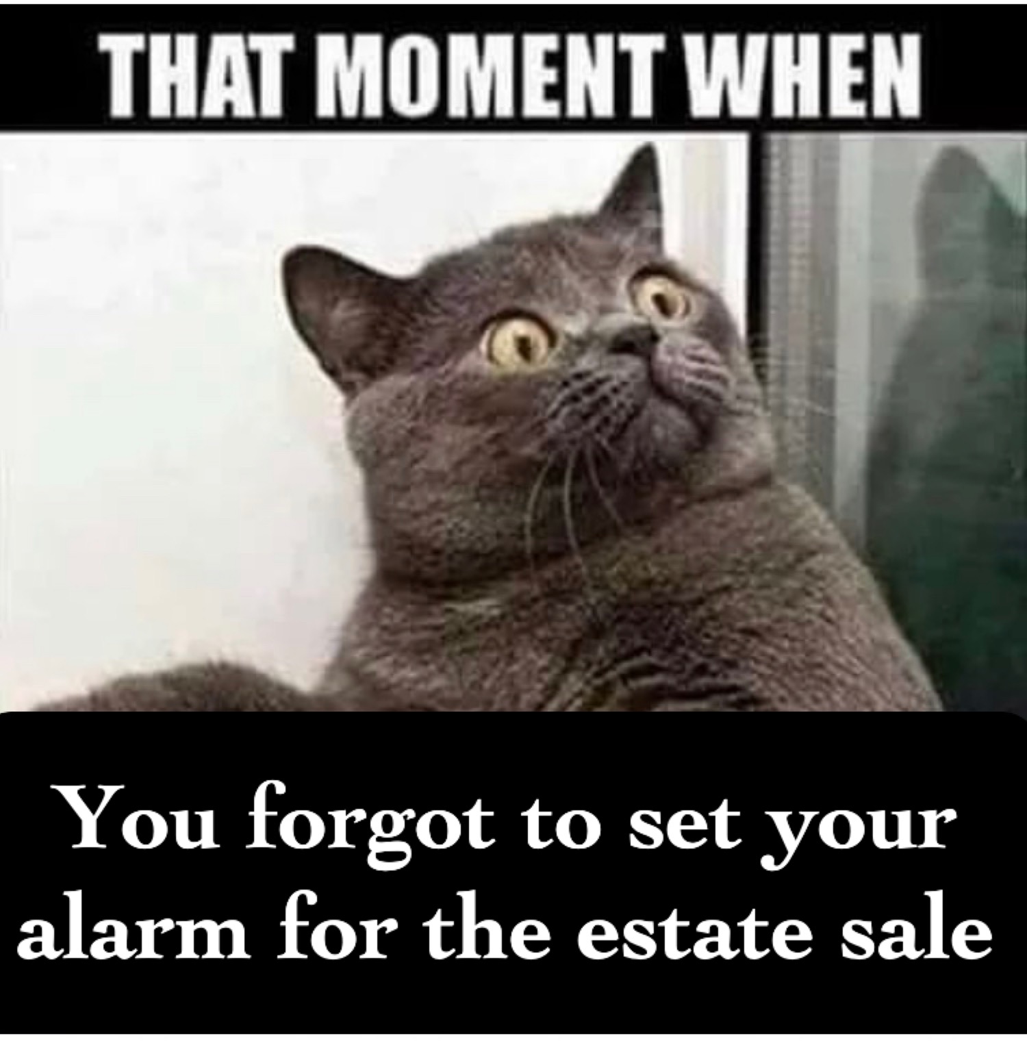 Photo Sep 16, 8 23 55 AM